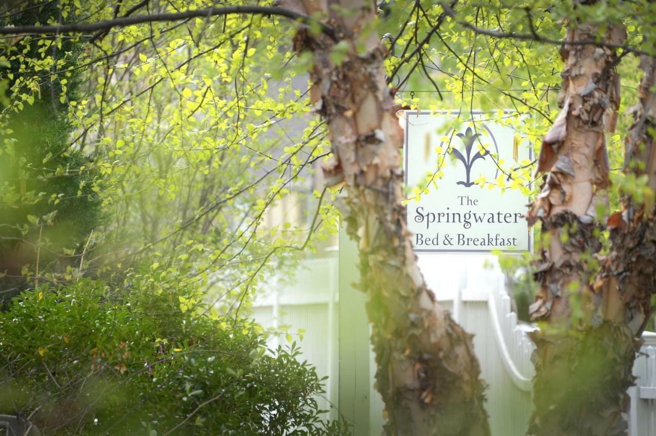 The Springwater Bed And Breakfast Саратога-Спрингс Экстерьер фото